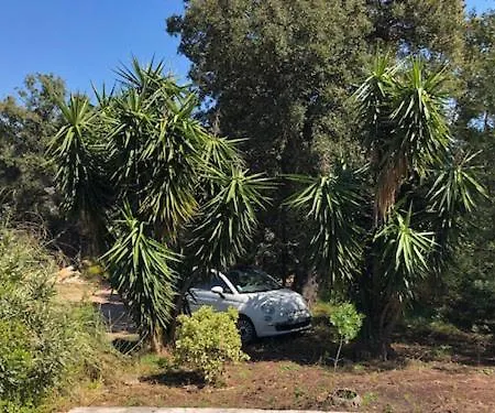 Hameaux De Pietra Nera Villa Porto-Vecchio (Corsica)